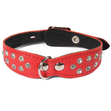 Ошейник-мини Gamma кожаный двойной фигурный со стразами, 12*270мм