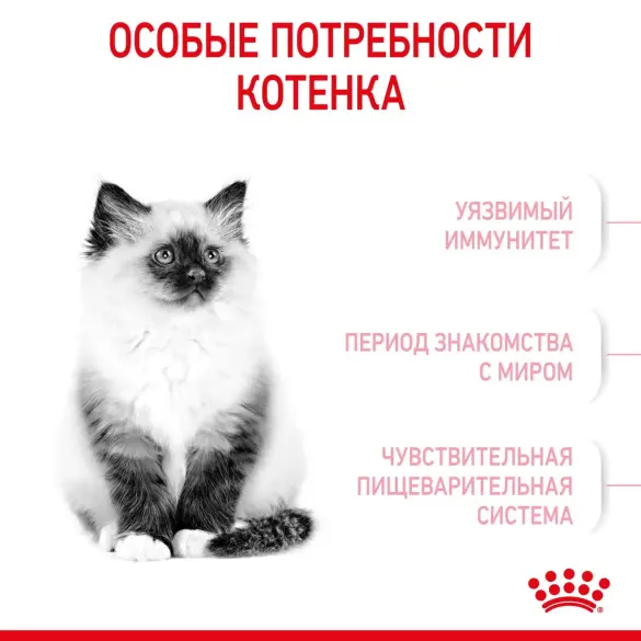 10кг Корм ROYAL CANIN Kitten для котят до с 4 до 12 месяцев