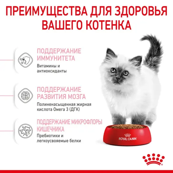 10кг Корм ROYAL CANIN Kitten для котят до с 4 до 12 месяцев