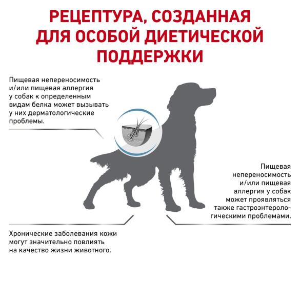 3кг Корм ROYAL CANIN Anallergenic Canine диета для взрослых собак при пищевой аллергии или непереносимости корма