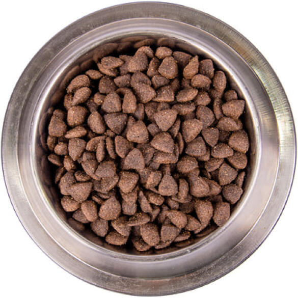 2,5кг Корм Monge Dog BWild Low Grain Puppy Deer низкозерновой для щенков всех пород с Олениной