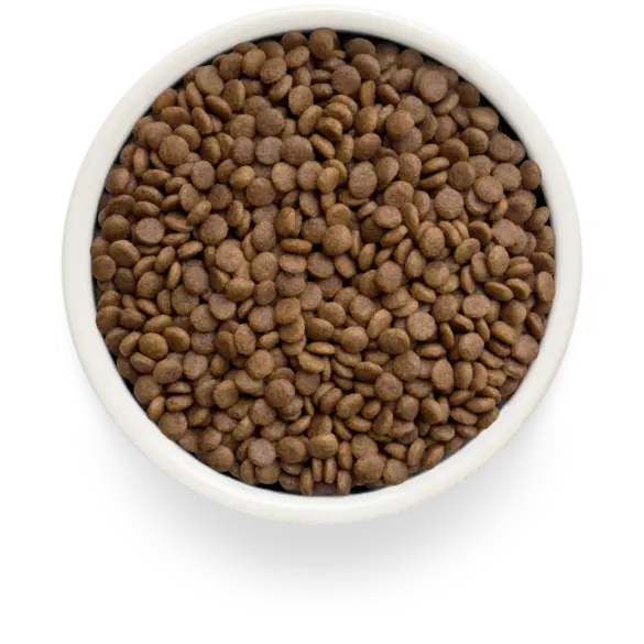 2кг Корм GRANDORF CAT Fresh Turkey&Sweet Potato Adult Sterilised беззерновой гипоаллергенный для взрослых стерилизованных кошек, Индейка с Батато