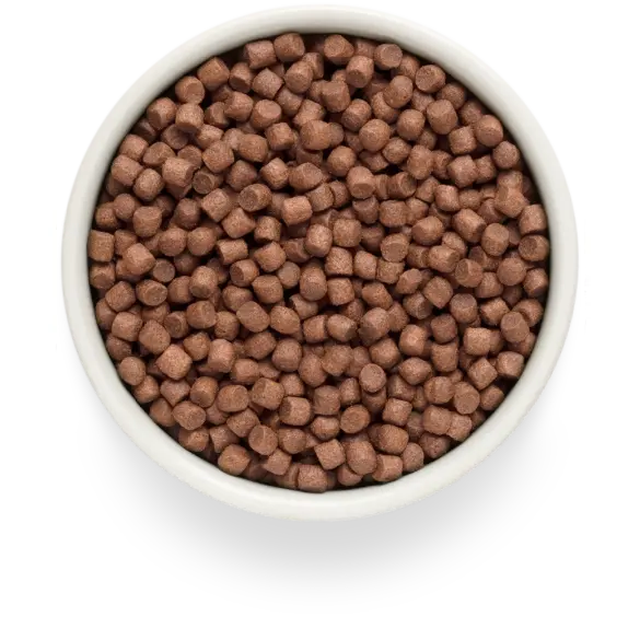 1кг Корм GRANDORF DOG Fresh Turkey&Sweet Potato Adult Mini беззерновой гипоаллергенный для собак мелких пород, Индейка с Бататом
