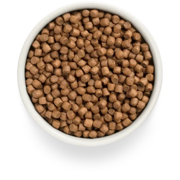 1кг Корм GRANDORF DOG Fresh Lamb&Sweet Potato Puppy беззерновой гипоаллергенный для щенков всех пород с 3 недель, беременных и кормящих собак, Ягненок с Бататом