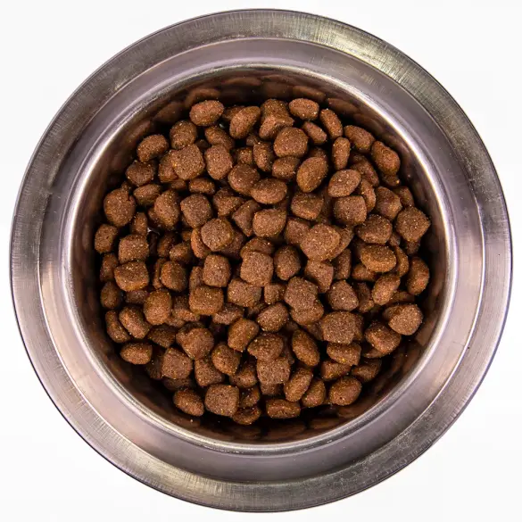 15кг Корм Monge Dog SP Monoprotein Puppy&Junior Duck/Rice для щенков всех пород с Уткой, рисом и картофелем