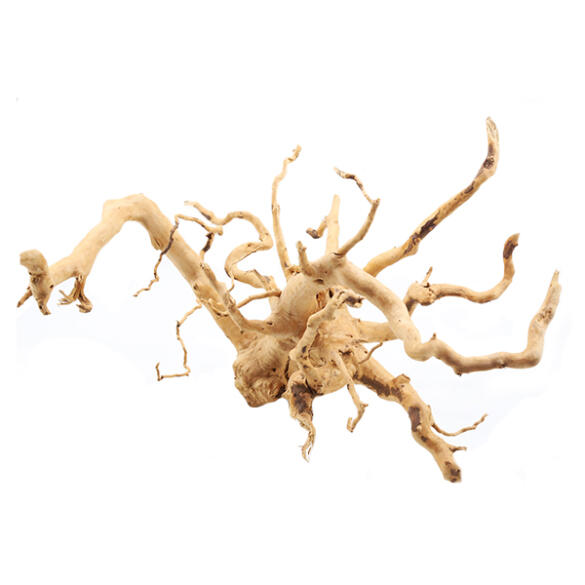 Коряга саванная Natural color для аквариума Premium Spider Root 50-70см