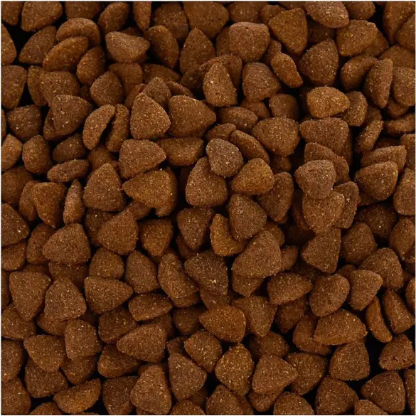 15кг Gemon Dog Adult PORK / RICE со свининой и рисом для взрослых собак