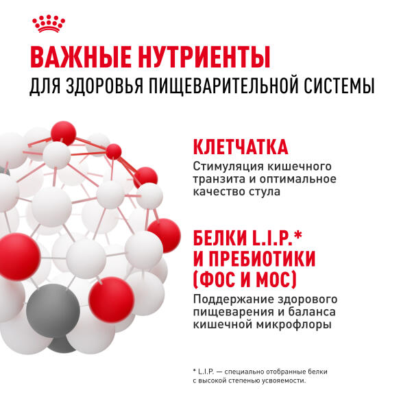 Корм в развес ROYAL CANIN Mini Digestive Care для взрослых собак с чувствительным пищеварением, 1кг