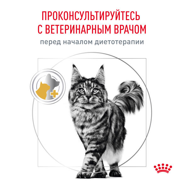 Корм в развес ROYAL CANIN Urinary S/O Feline диета для взрослых кошек при лечении и профилактике мочекаменной болезни, 1кг