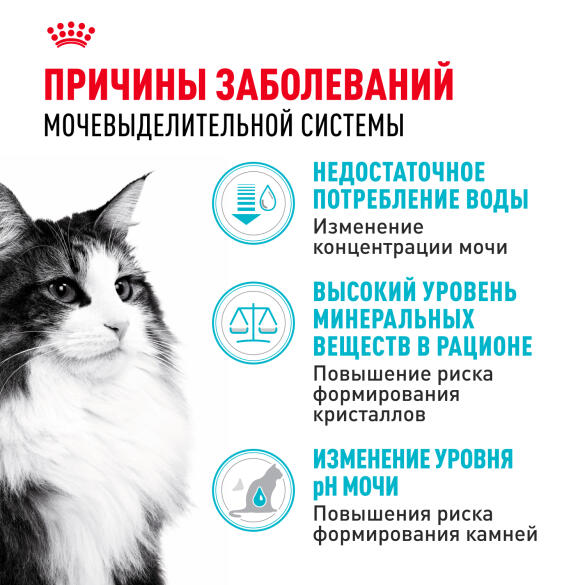 0,4кг Корм ROYAL CANIN Urinary Care для взрослых кошек для профилактики мочекаменной болезни