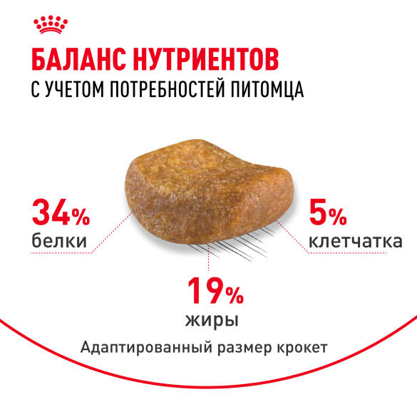 2кг Корм ROYAL CANIN British Shorthair Adult для взрослых Британских короткошерстных кошек с 12 месяцев