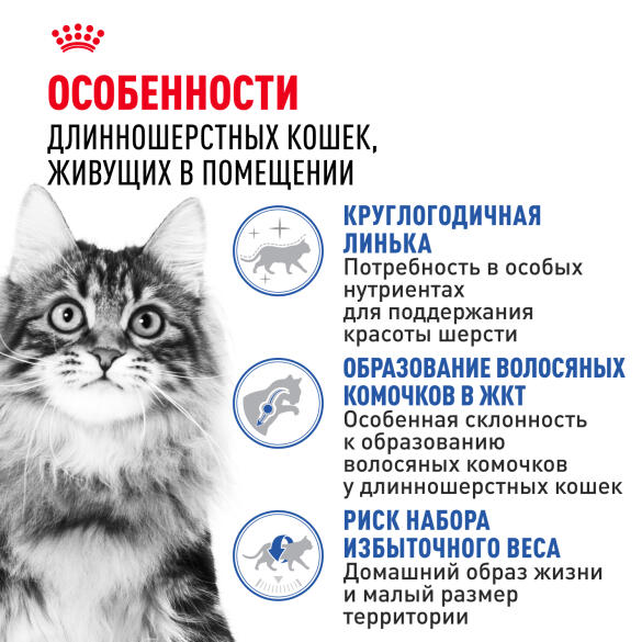0,4кг Корм ROYAL CANIN Indoor Long Hair для взрослых домашних длинношерстных кошек