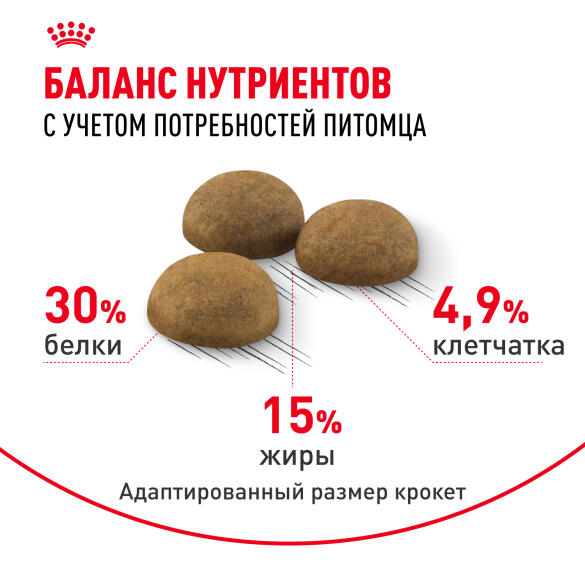 0,4кг Корм ROYAL CANIN Indoor Long Hair для взрослых домашних длинношерстных кошек