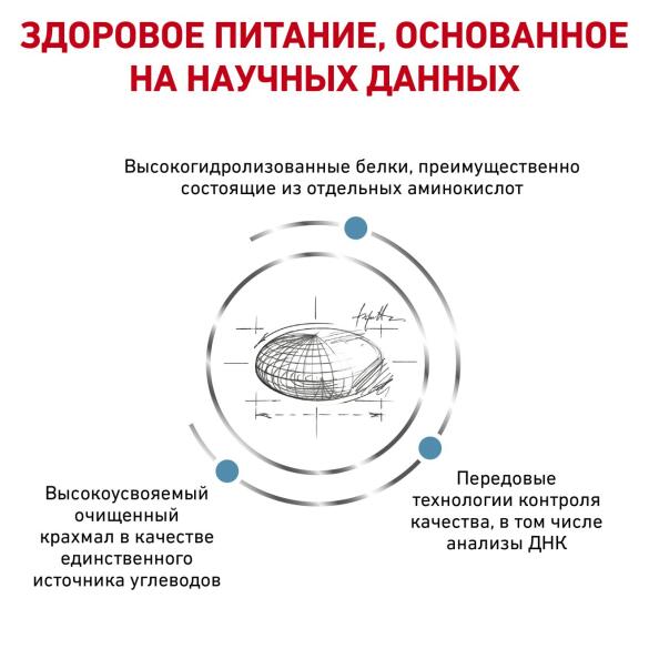 2кг Корм ROYAL CANIN Anallergenic Feline диета для взрослых кошек при пищевой аллергии или непереносимости корма