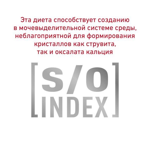 2кг Корм ROYAL CANIN Anallergenic Feline диета для взрослых кошек при пищевой аллергии или непереносимости корма