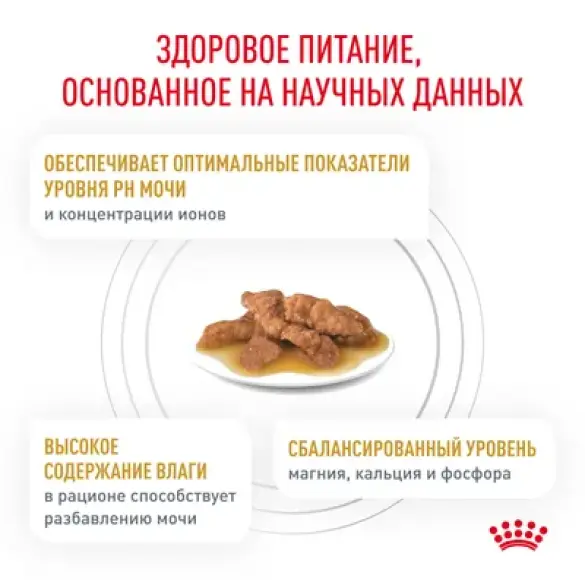 85гр Влажный корм ROYAL CANIN Urinary S/O диета для взрослых кошек при заболеваниях мочевыводящих путей, в соусе (пауч)