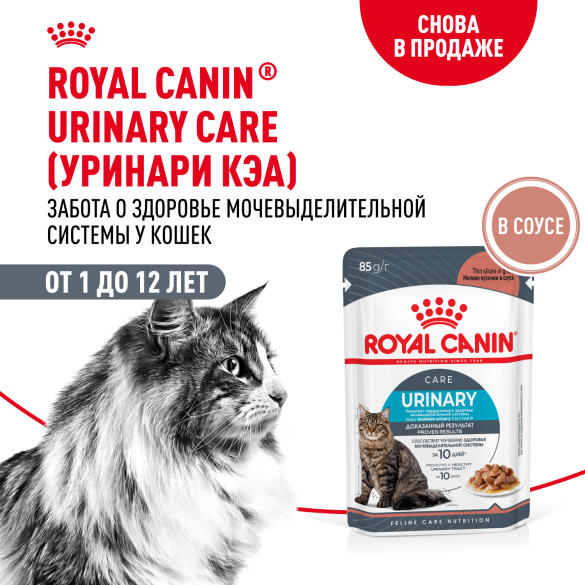 85гр Влажный корм ROYAL CANIN Urinary Care для взрослых кошек для профилактики мочекаменной болезни (пауч)