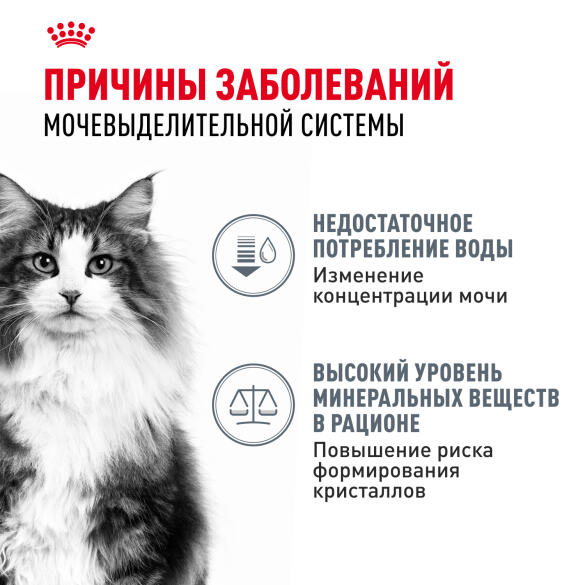85гр Влажный корм ROYAL CANIN Urinary Care для взрослых кошек для профилактики мочекаменной болезни (пауч)