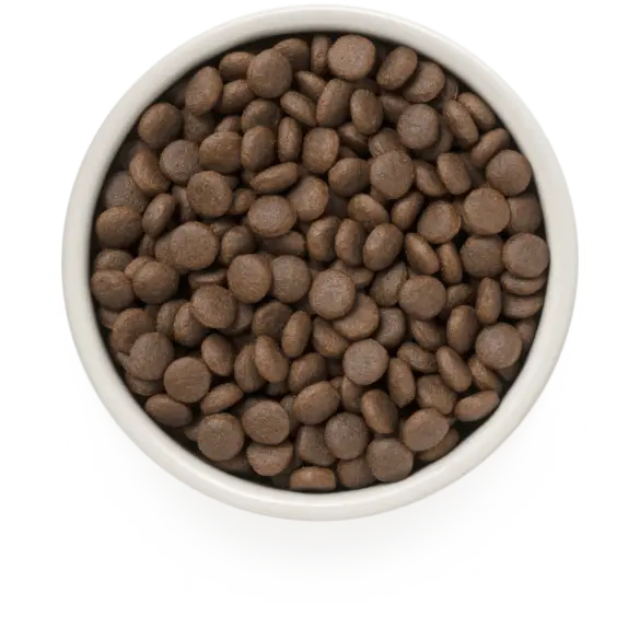 1кг Корм GRANDORF DOG 4 Meat PROBIOTIC MEDIUM&MAXI BREEDS гипоаллергенный для собак средних и крупных пород с пробиотиками и 4 вида мяса