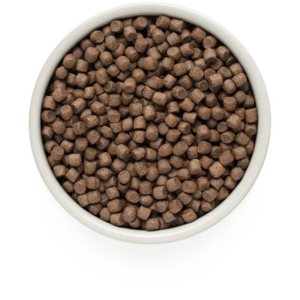 1кг Корм GRANDORF DOG 4 Meat PROBIOTIC MINI BREEDS гипоаллергенный для собак мелких пород с пробиотиками и 4 вида мяса