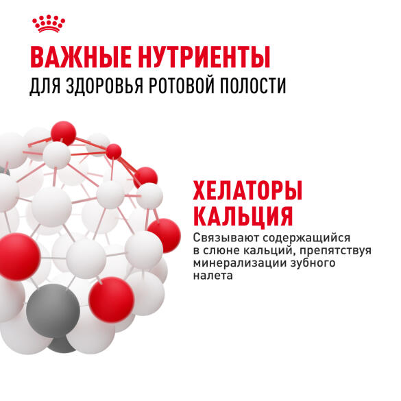 1,5кг Корм ROYAL CANIN Dental Care для кошек, профилактика образования зубного налета