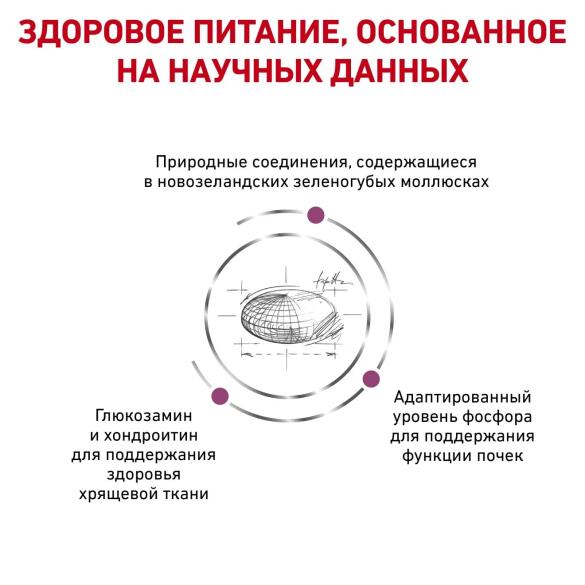2кг Корм ROYAL CANIN Mobility Feline диета для взрослых кошек при заболеваниях суставов