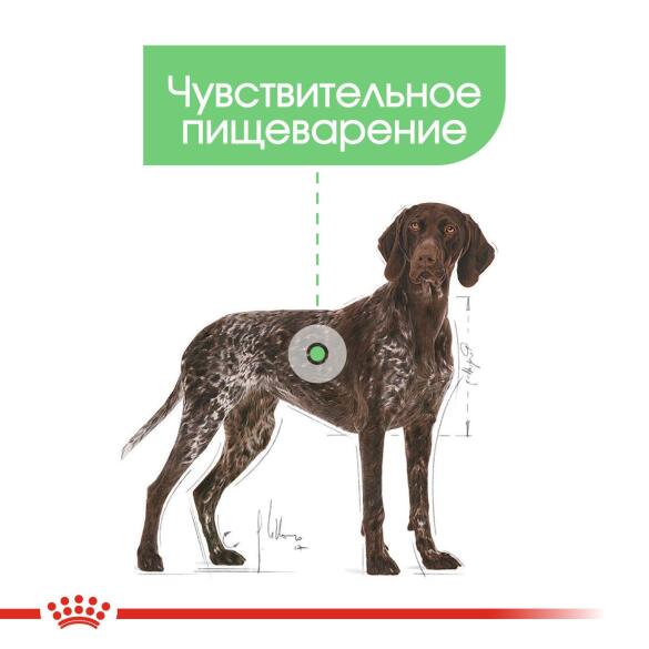 85гр Влажный корм ROYAL CANIN Digestive Care для взрослых собак с чувствительным пищеварением, паштет (пауч)