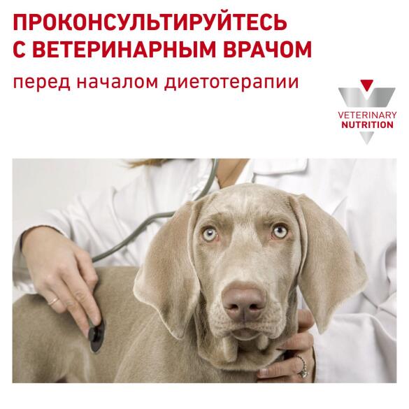 12кг Корм ROYAL CANIN Mobility C2P+ диета для взрослых собак при заболеваниях опорно-двигательного аппарата