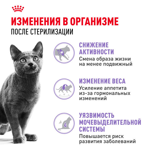 2кг Корм ROYAL CANIN Sterilised 37 для взрослых стерилизованных кошек старше 1 года