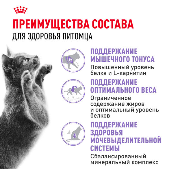 2кг Корм ROYAL CANIN Sterilised 37 для взрослых стерилизованных кошек старше 1 года