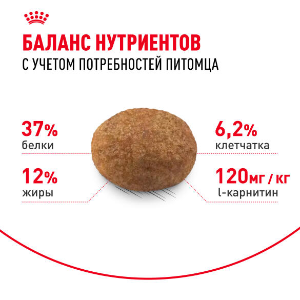 2кг Корм ROYAL CANIN Sterilised 37 для взрослых стерилизованных кошек старше 1 года
