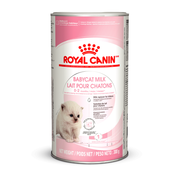 0,3кг Заменитель молока ROYAL CANIN Babycat Milk для котят от рождения до отъема (0-2 месяца)