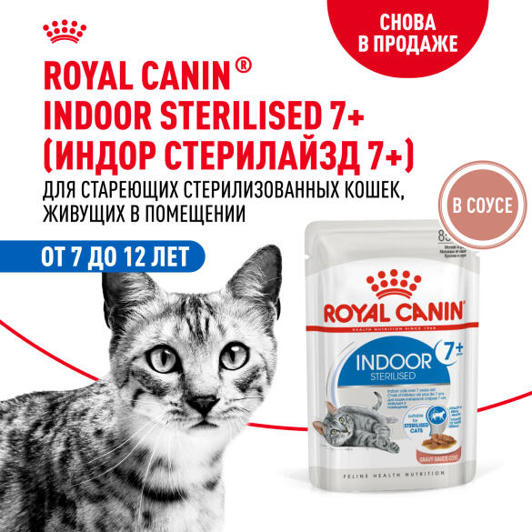 85гр Влажный корм ROYAL CANIN INDOOR STERILISED +7 in GRAVY для взрослых домашних стерилизованных кошек старше 7 лет, в соусе (пауч)