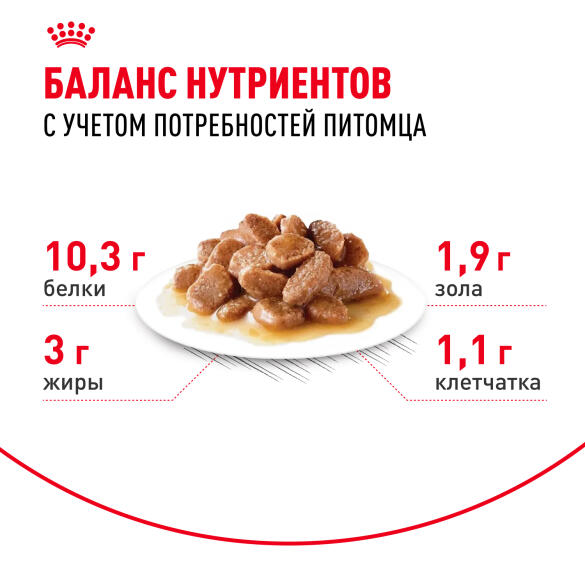 85гр Влажный корм ROYAL CANIN INDOOR STERILISED +7 in GRAVY для взрослых домашних стерилизованных кошек старше 7 лет, в соусе (пауч)