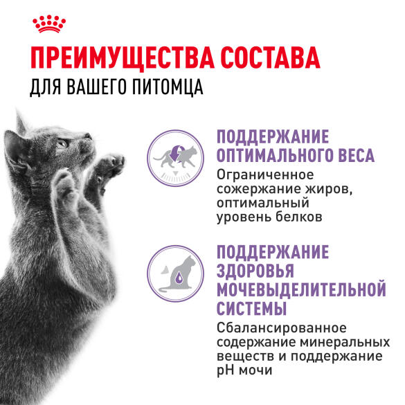 85гр Влажный корм ROYAL CANIN Sterilised для взрослых стерилизованных кошек старше 1 года, в желе (пауч)