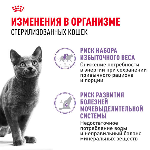 85гр Влажный корм ROYAL CANIN Sterilised для взрослых стерилизованных кошек старше 1 года, в соусе (пауч)