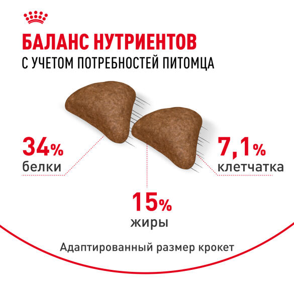 2кг Корм ROYAL CANIN Hairball для взрослых кошек, профилактика образования волосяных комочков