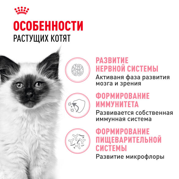 2кг Корм ROYAL CANIN Kitten для котят до с 4 до 12 месяцев
