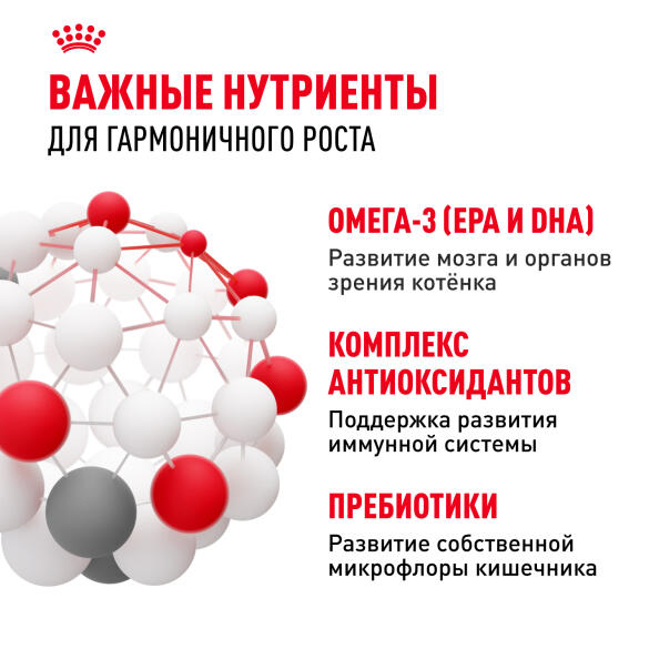 2кг Корм ROYAL CANIN Kitten для котят до с 4 до 12 месяцев