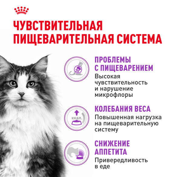 0,2кг Корм ROYAL CANIN Sensible для взрослых кошек с чувствительным пищеварением