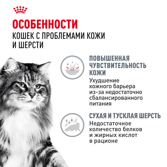 85г Влажный корм ROYAL CANIN Hair&Skin Care для взрослых кошек для поддержания здоровья кожи и шелковистости шерсти, в желе (пауч)