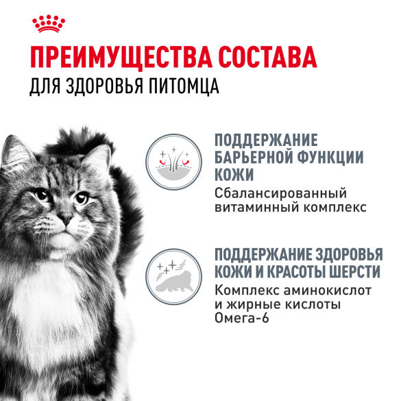 85г Влажный корм ROYAL CANIN Hair&Skin Care для взрослых кошек для поддержания здоровья кожи и шелковистости шерсти, в желе (пауч)