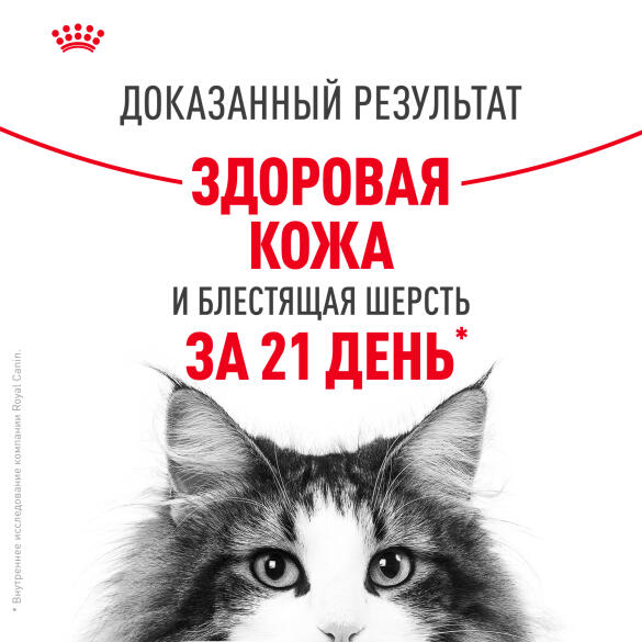 85г Влажный корм ROYAL CANIN Hair&Skin Care для взрослых кошек для поддержания здоровья кожи и шелковистости шерсти, в желе (пауч)