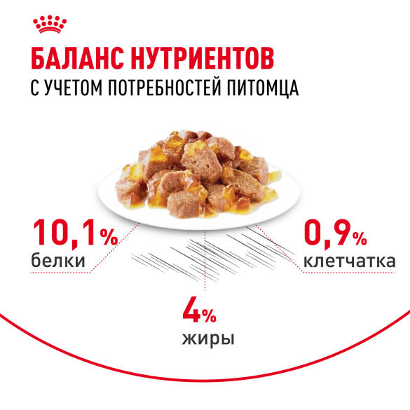 85г Влажный корм ROYAL CANIN Hair&Skin Care для взрослых кошек для поддержания здоровья кожи и шелковистости шерсти, в желе (пауч)