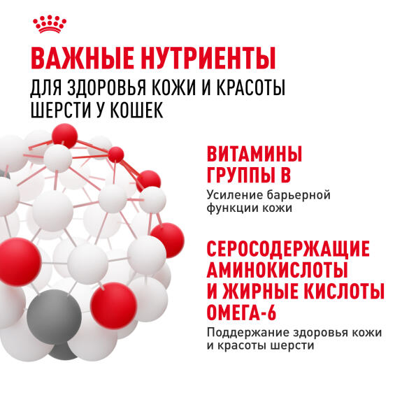 85г Влажный корм ROYAL CANIN Hair&Skin Care для взрослых кошек для поддержания здоровья кожи и шелковистости шерсти, в желе (пауч)