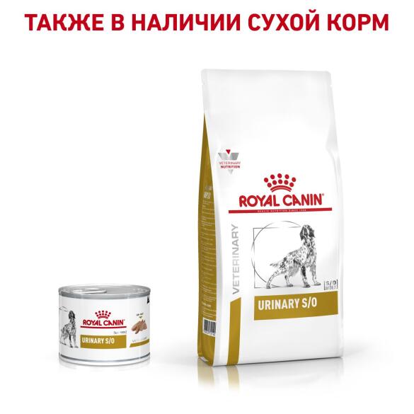 410гр Консервы ROYAL CANIN Urinary S/O диета для взрослых собак при заболеваниях мочевыделительной системы, паштет