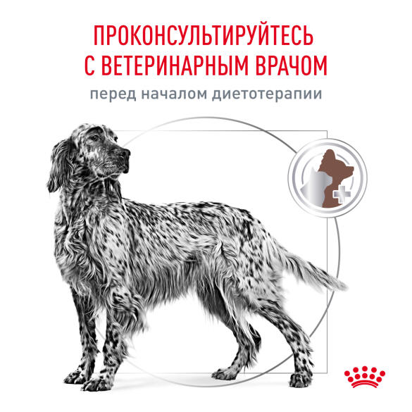 1,5кг Корм ROYAL CANIN Gastrointestinal Low Fat диета для собак при нарушениях пищеварения и экзокринной недостаточности поджелудочной железы