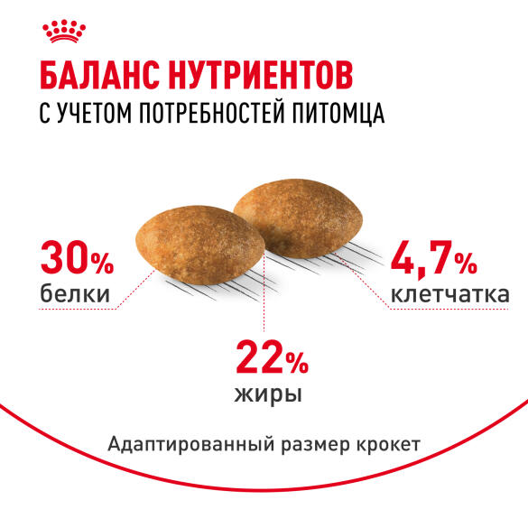 2кг Корм ROYAL CANIN Persian для взрослых Персидских кошек старше 12 месяцев