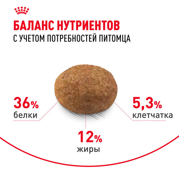 1,5кг Корм ROYAL CANIN Sterilised +7 для взрослых стерилизованных кошек старше 7 лет