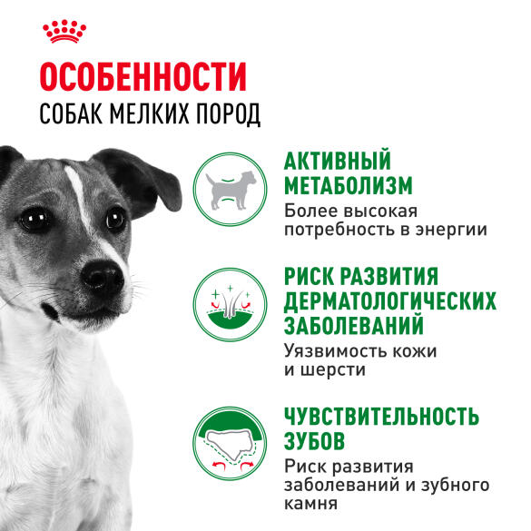 2кг Корм ROYAL CANIN Mini Adult для взрослых собак мелких пород